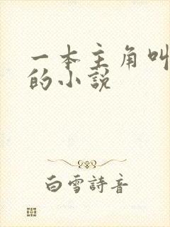 一本主角叫林萧的小说