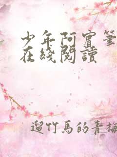 少年阿宾笔趣阁在线阅读