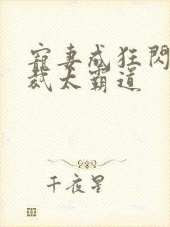 宠妻成狂闪婚总裁太霸道