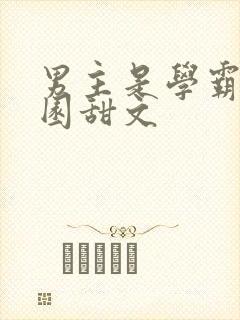 男主是学霸的校园甜文