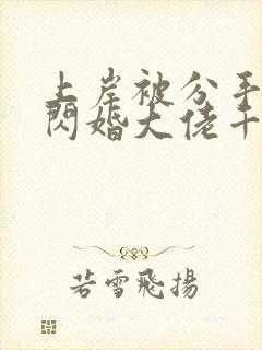 上岸被分手后我闪婚大佬千金小说