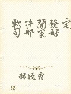 软件开发定制公司哪家好