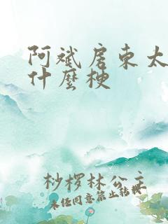 阿斌房东太太是什么梗