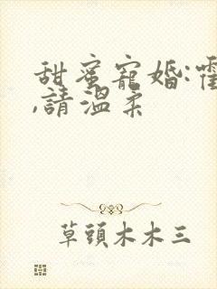 甜蜜宠婚:霍少,请温柔