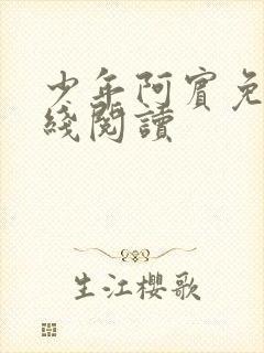 少年阿宾免费在线阅读