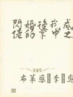 闪婚后我成了大佬的掌中之物》