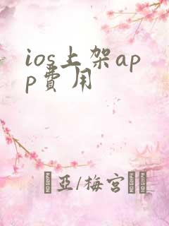 ios上架app费用