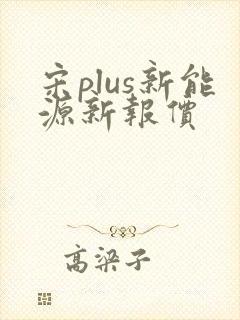 宋plus新能源新报价