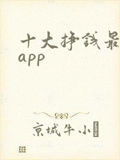十大挣钱最快的app