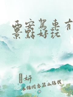 西安驾车有哪些景点好玩