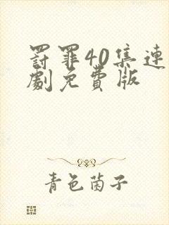 罚罪40集连续剧免费版