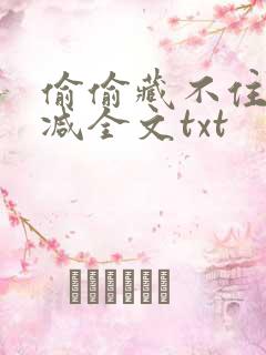偷偷藏不住无删减全文txt