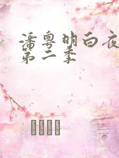 潘粤明白夜追凶第二季