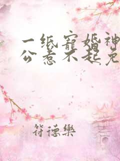 一纸宠婚神秘老公惹不起免费阅读