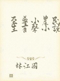 至尊小农民王木生有声小说全集收听免费听
