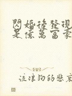 闪婚后发现老公是亿万富豪在线全本阅读