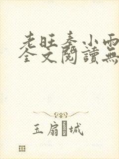 老旺秦小雨小说全文阅读无弹窗