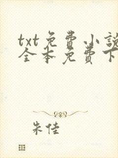 txt免费小说全本免费下载网站