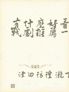 有什么好看的谍战剧推荐一下
