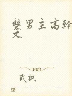 双男主高干文小文