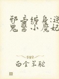 邪帝缠身:逆天鬼医小魔妃