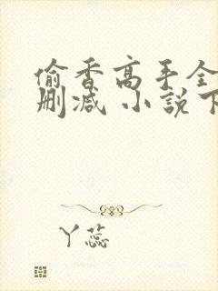 偷香高手全文无删减 小说下载