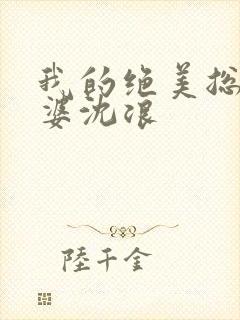 我的绝美总裁老婆沈浪