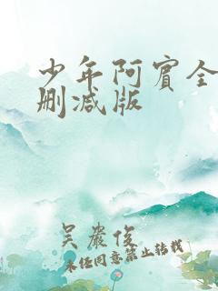 少年阿宾全文未删减版