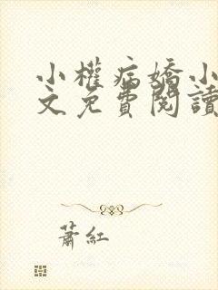 小权病娇小说全文免费阅读