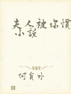 夫人被你惯坏了 小说