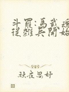 斗罗:马武魂,从杂兵开始签到的小说