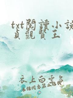txt阅读小说贞观贤王