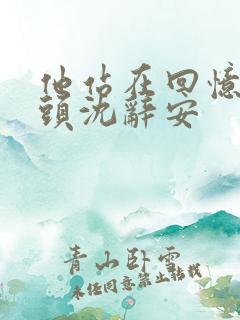 他站在回忆的尽头沈辞安