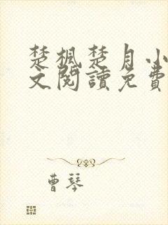楚枫楚月小说全文阅读免费