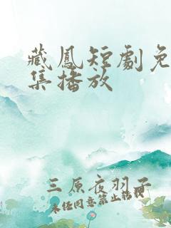 藏凤短剧免费全集播放