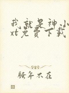 我就是神小说txt免费下载