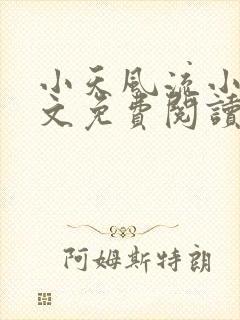 小天风流小说全文免费阅读无弹窗