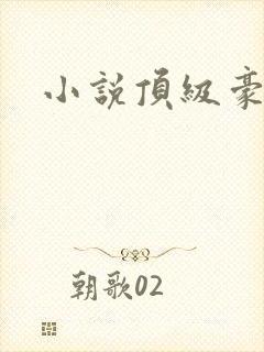 小说顶级豪雄