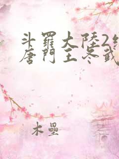 斗罗大陆2绝世唐门王冬武魂