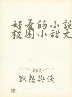 好看的小说言情校园小甜文