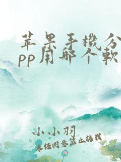 苹果手机分身app用哪个软件