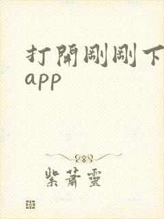 打开刚刚下载的app