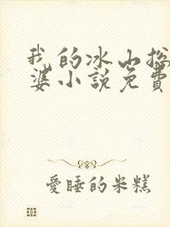 我的冰山总裁老婆小说免费阅读