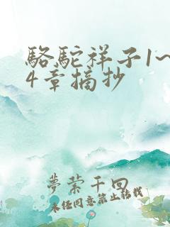 骆驼祥子1~24章摘抄