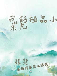 我的极品小姨 叶凡