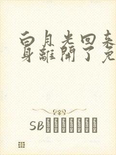 白月光回来后替身离开了免费阅读