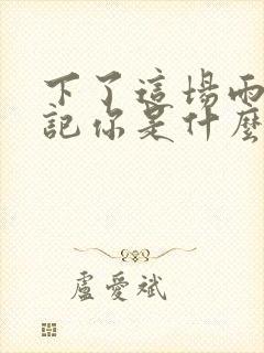 下了这场雨就忘记你是什么歌