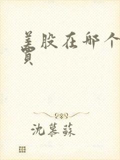美股在哪个软件买