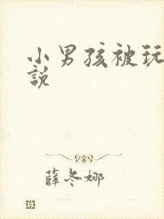 小男孩被玩弄小说