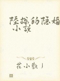陆总的隐婚娇妻 小说